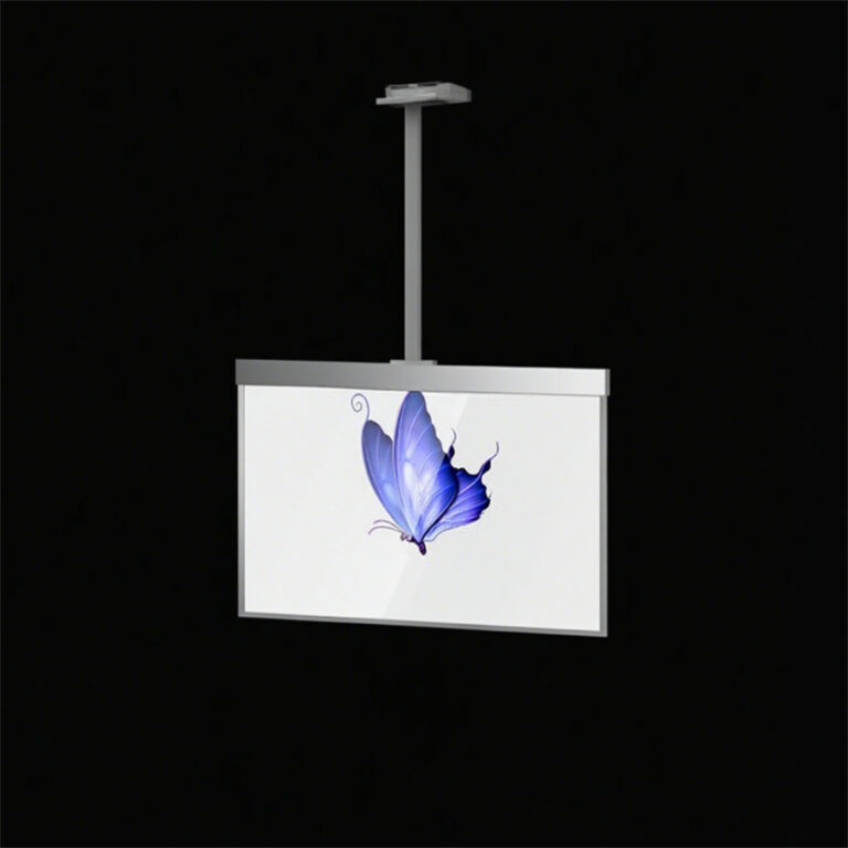 OLED transparent hanging screen